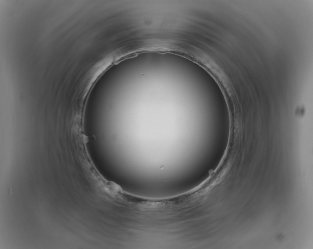 X0000097611481200802291250
