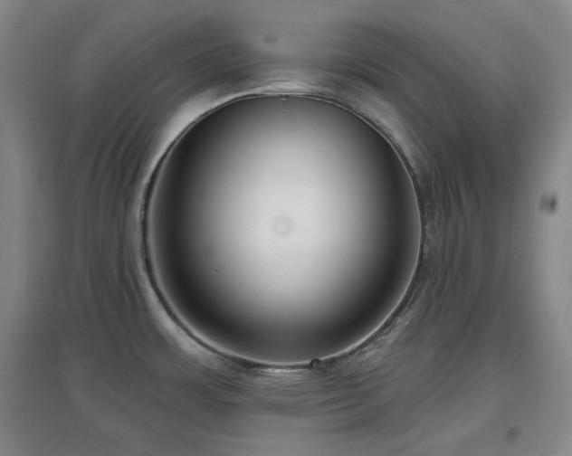 X0000097611483200802291250