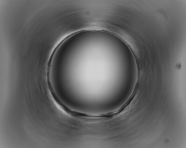 X0000097611484200802291250