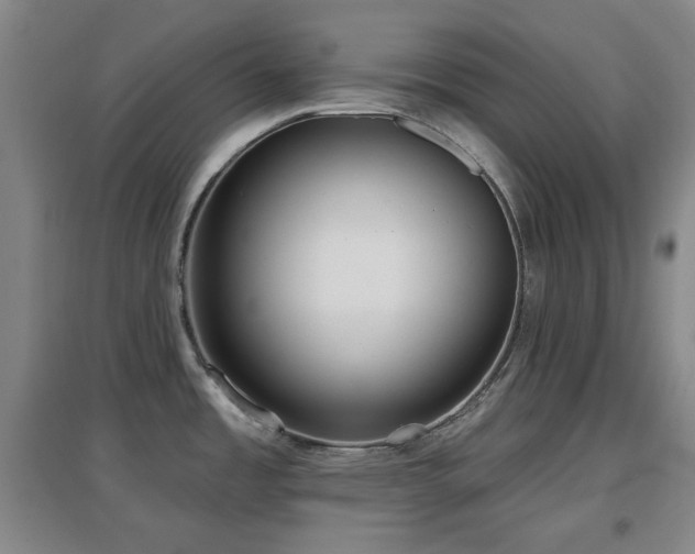 X0000097611485200802291250