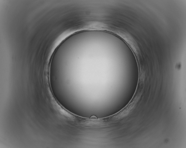 X0000097611486200802291250