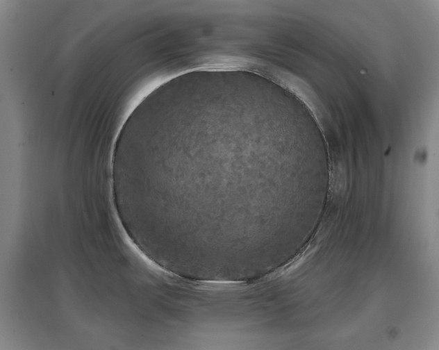 X0000097611487200802291250