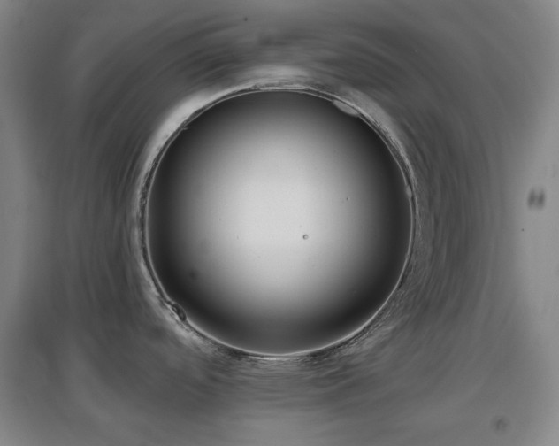 X0000097611488200802291250