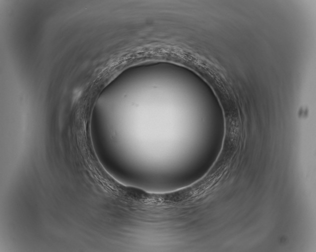 X0000097611489200802291249
