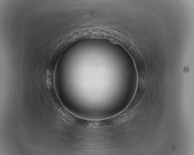 X0000097611490200802291249