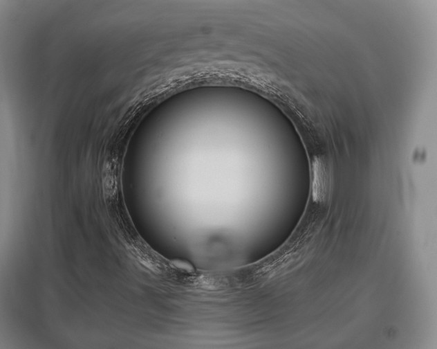 X0000097611491200802291249