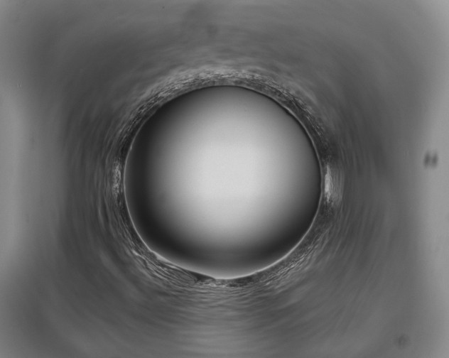 X0000097611492200802291249
