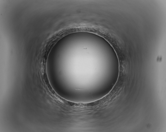 X0000097611493200802291249