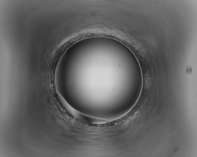 X0000097611494200802291250