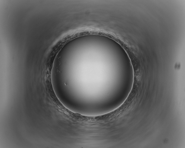 X0000097611495200802291250