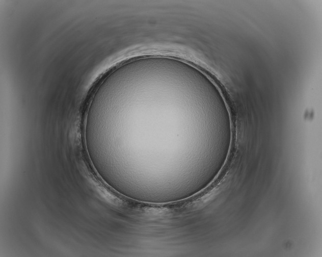 X0000097611498200802291250