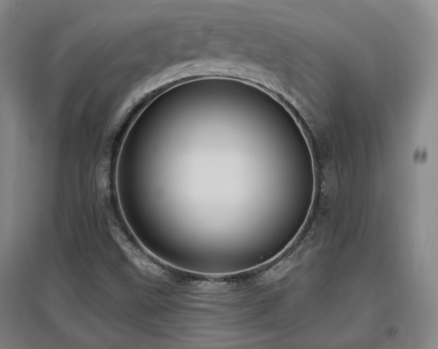 X0000097611499200802291250