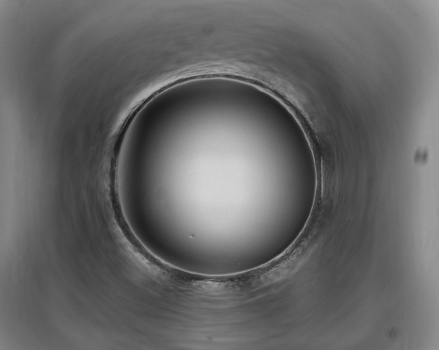 X0000097611500200802291250