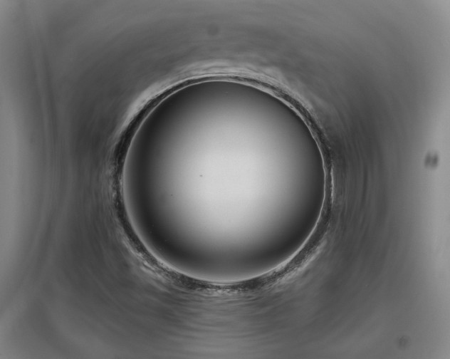 X0000097611501200802291250
