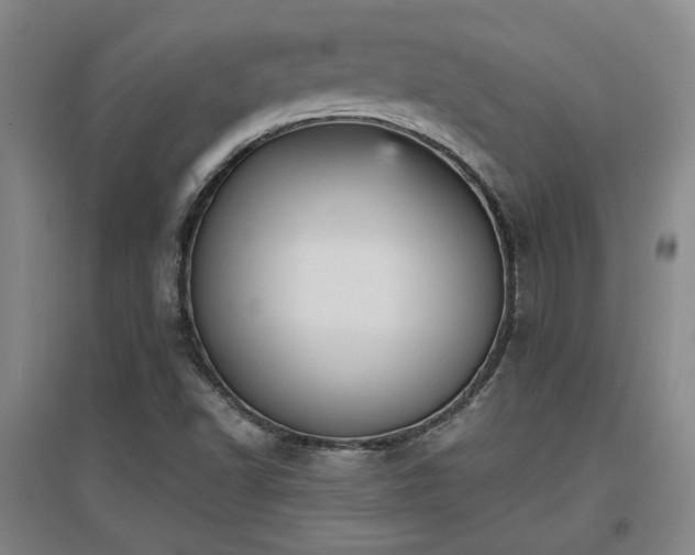 X0000097611502200802291250
