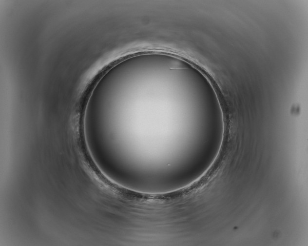 X0000097611503200802291250