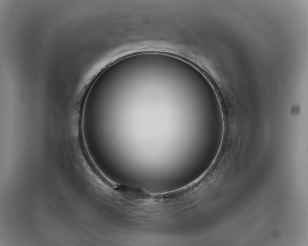 X0000097611504200802291250