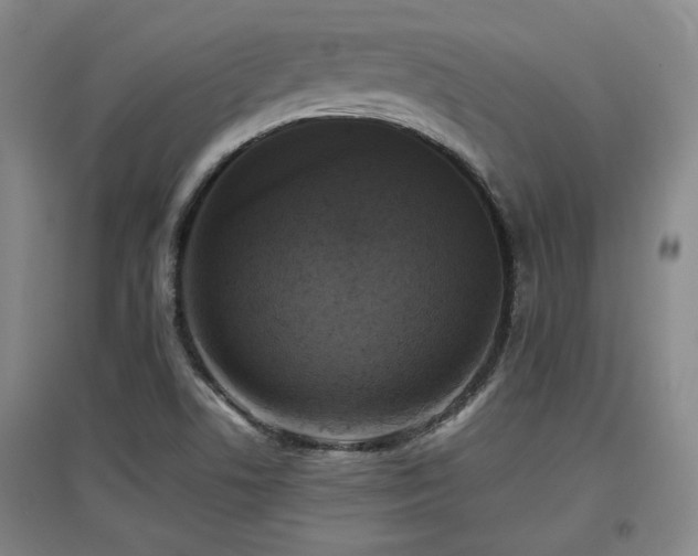 X0000097611506200802291250