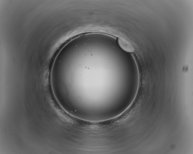 X0000097611507200802291250