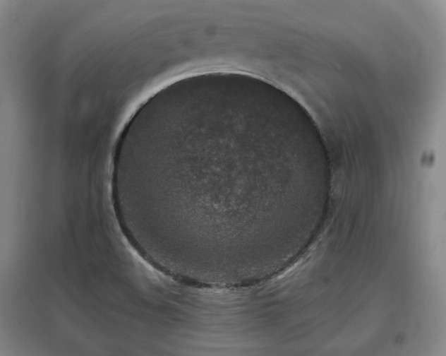 X0000097611508200802291250