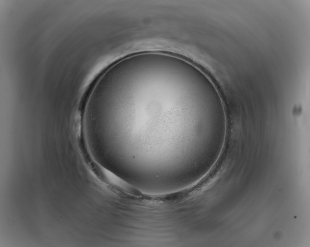 X0000097611509200802291250