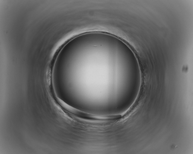 X0000097611510200802291250