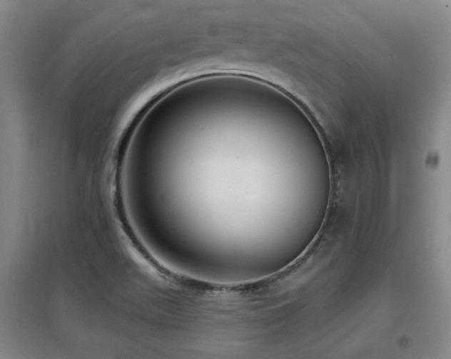 X0000097611511200802291250