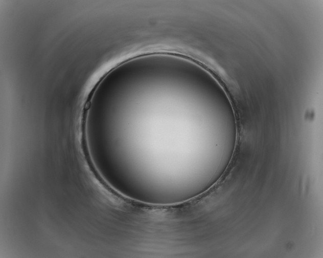 X0000097611512200802291250
