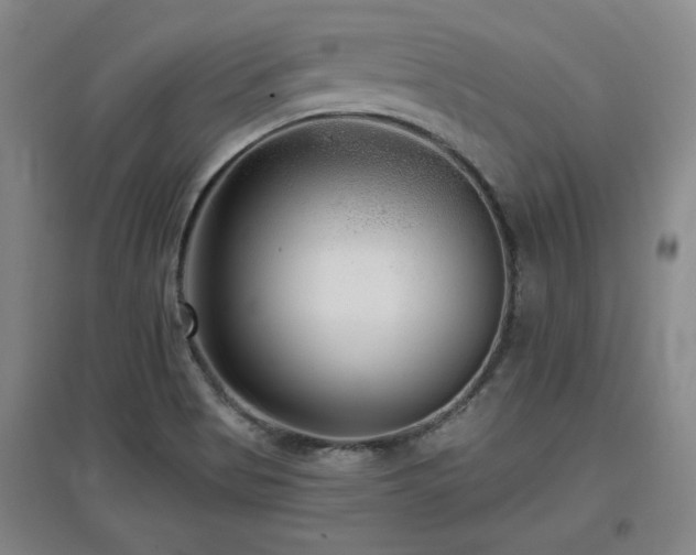 X0000097611513200802291250