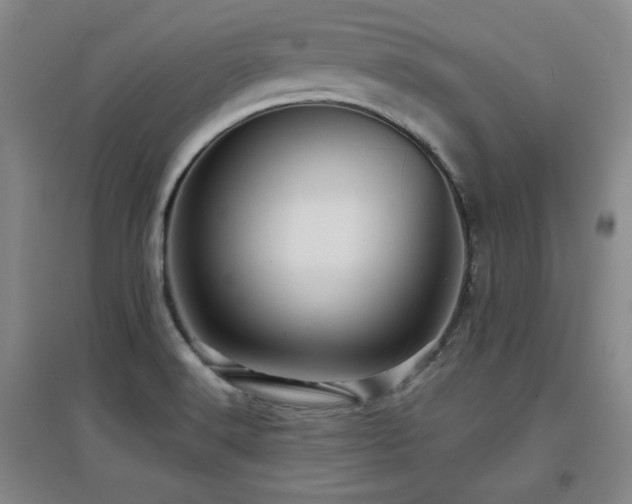 X0000097611516200802291250