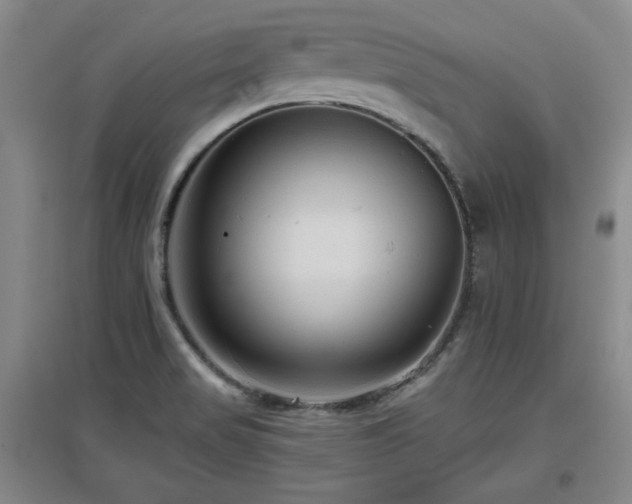 X0000097611517200802291250