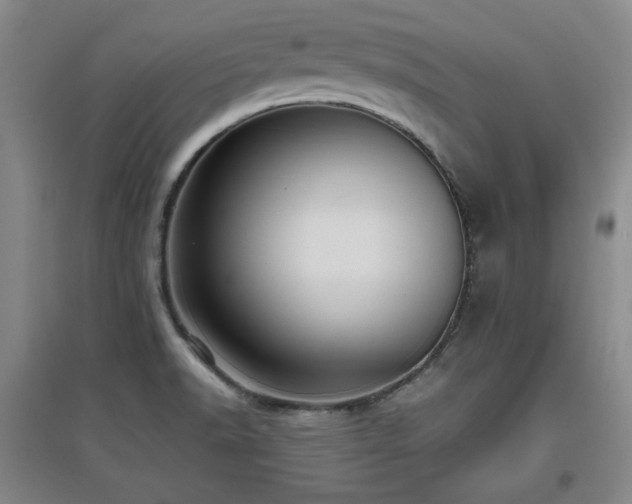 X0000097611518200802291250