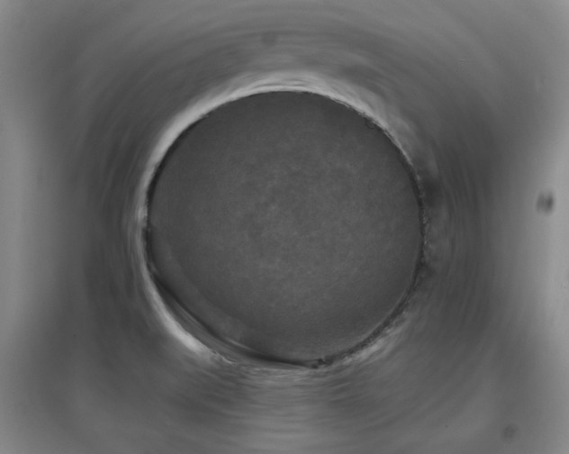 X0000097611519200802291250