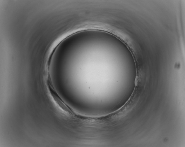 X0000097611520200802291250
