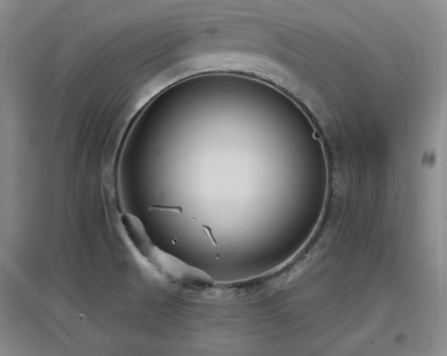 X0000097611521200802291250