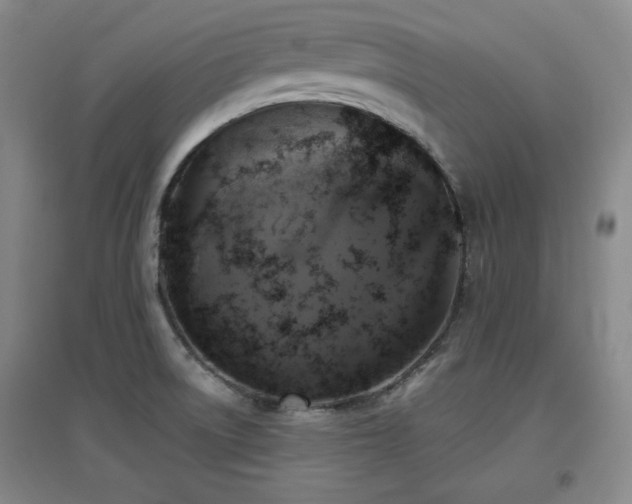 X0000097611522200802291250
