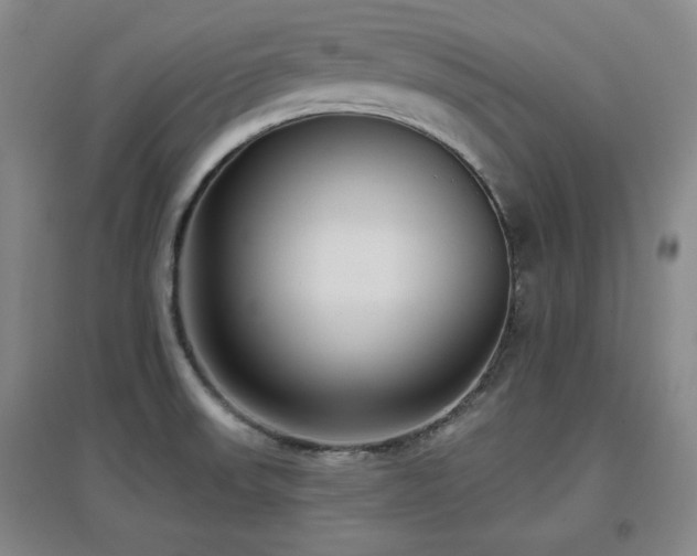 X0000097611523200802291250