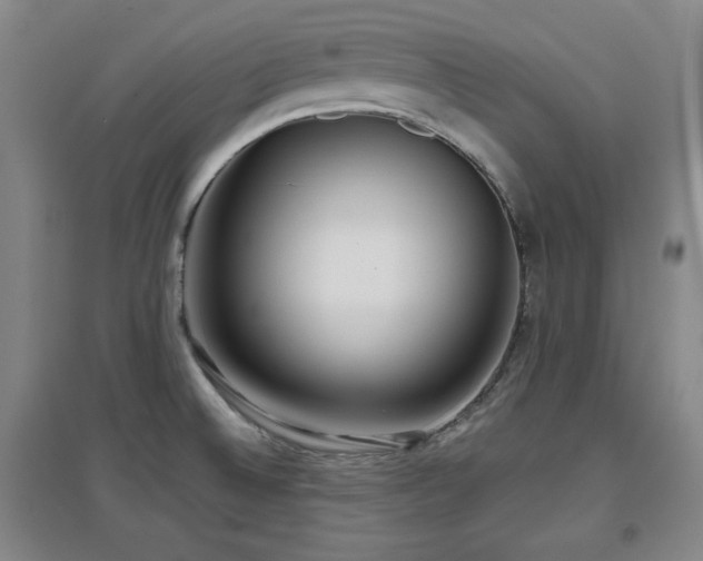 X0000097611524200802291250
