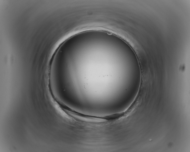 X0000097611526200802291250