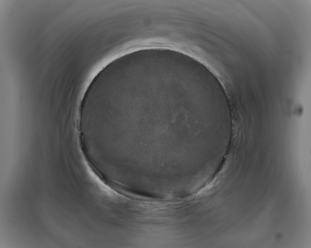 X0000097611527200802291250