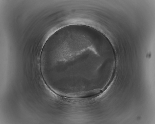 X0000097611529200802291250