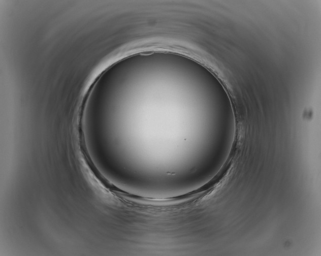 X0000097611530200802291250