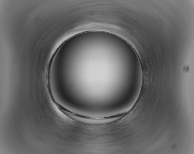 X0000097611531200802291250