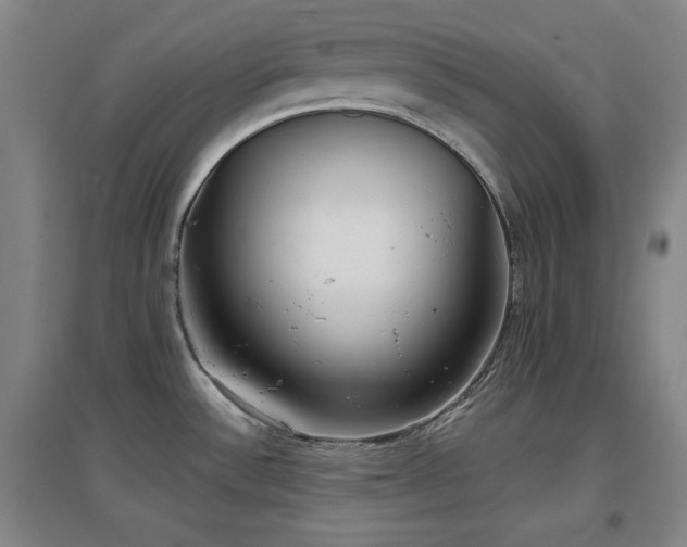X0000097611532200802291250