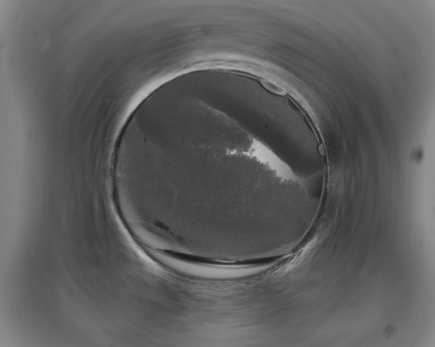 X0000097611533200802291250