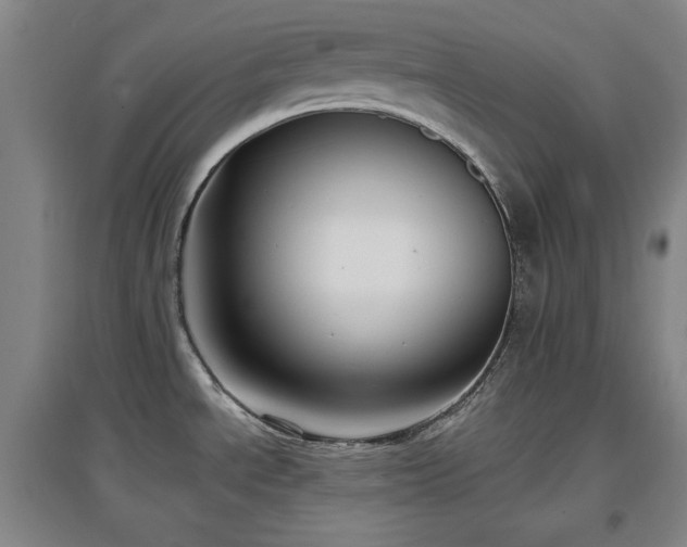 X0000097611534200802291250