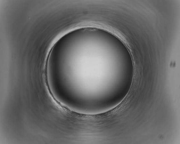 X0000097611536200802291250