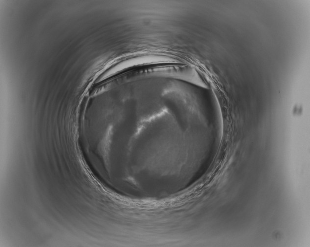 X0000097610002200803071459