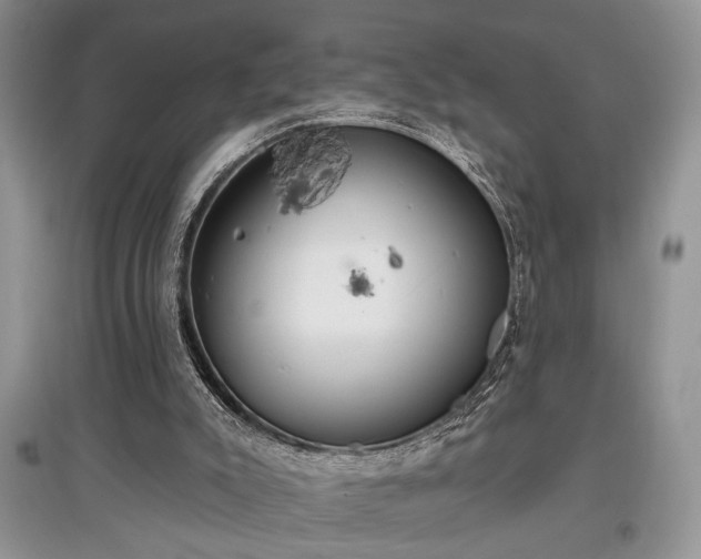 X0000097610007200803071459