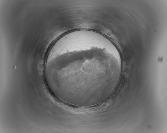 X0000097610012200803071459